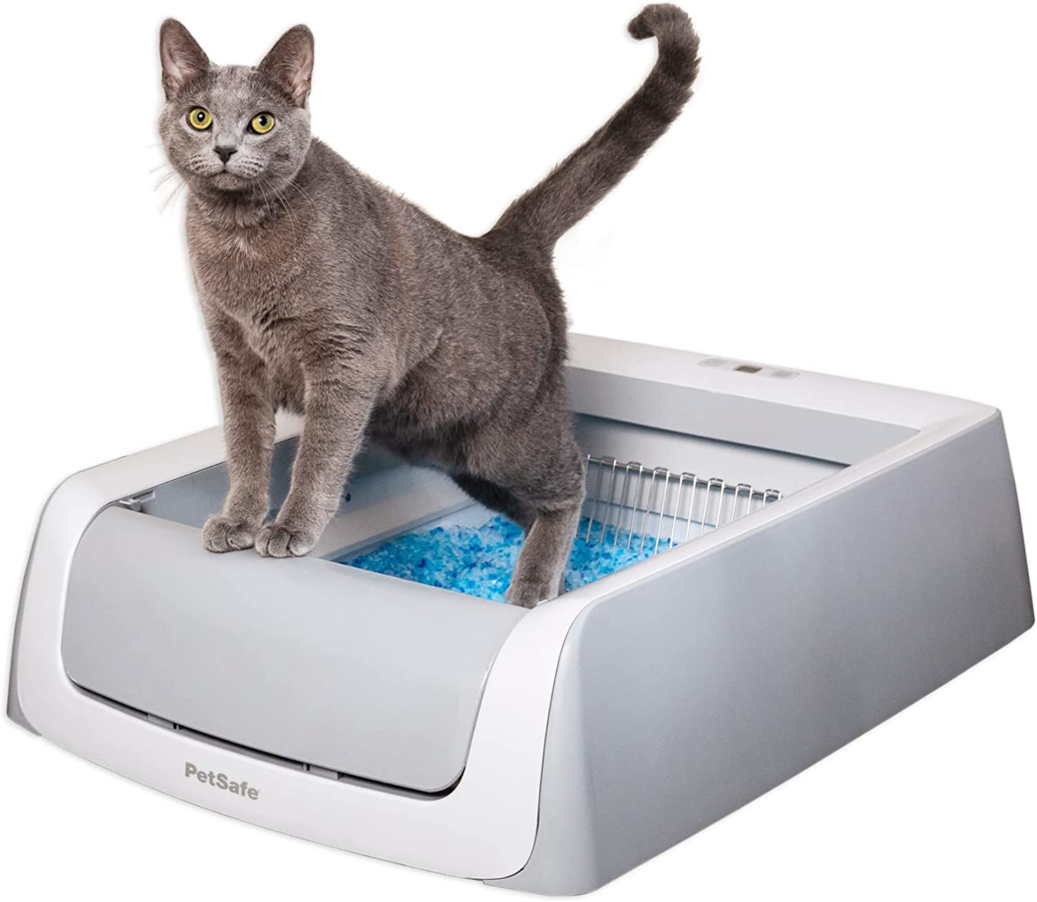Pros and Cons of Automatic Cat Litter Box