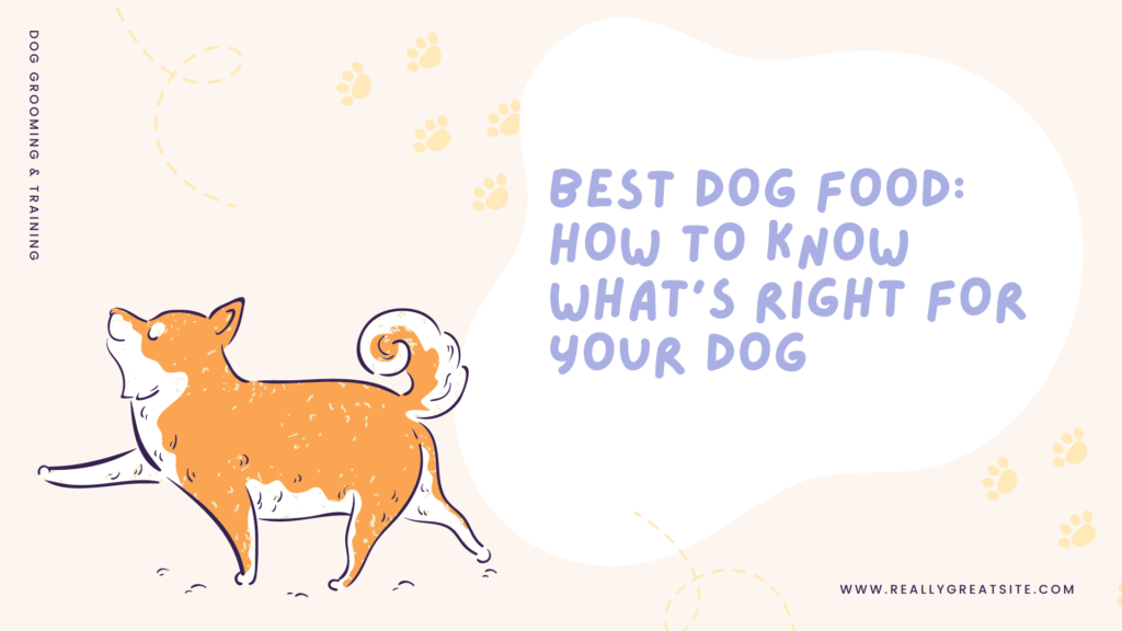 Best Dog Food: How to Know What's Right for Your Dog