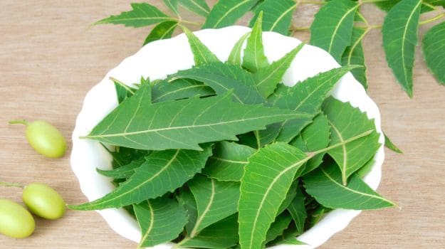 The Health Benefits Of Neem Can Be Found Here